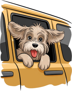 a brown shaggy dog with ears flapping in the wind looking out of a car windows